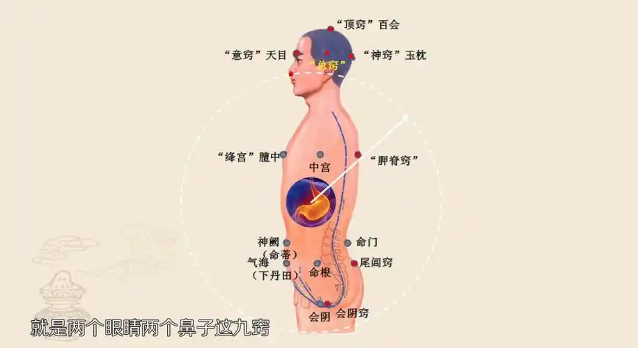 人体气血是如何产生的?层层揭露真相!