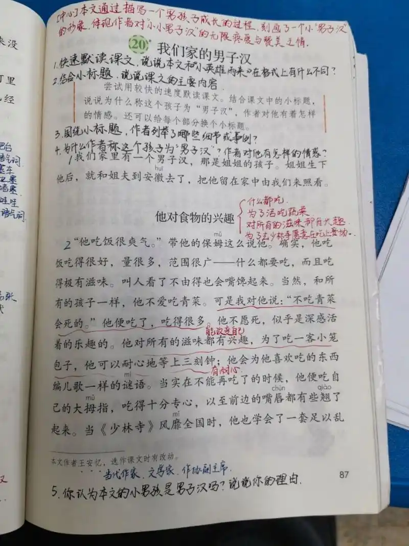 【备课笔记】四下语文《我们家的男子汉》
