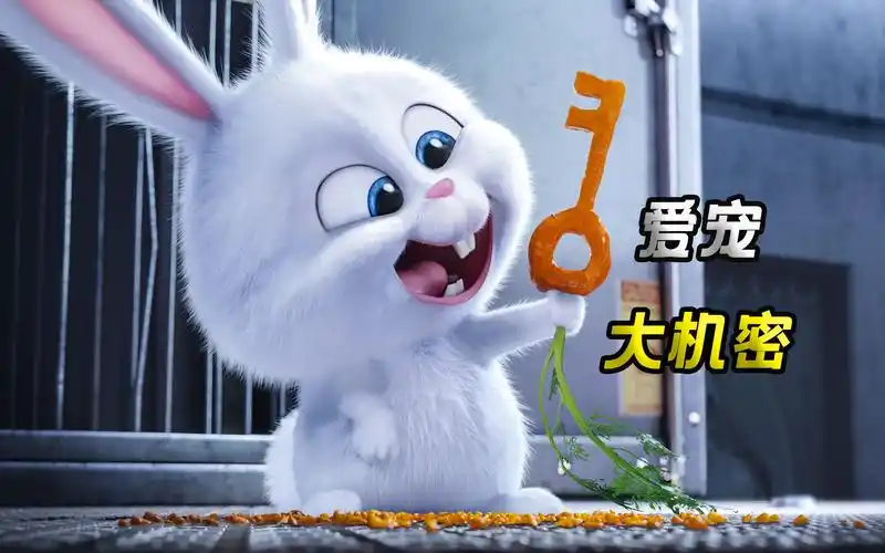 当你离开家时,家中的宠物都在干什么呢!1/3集