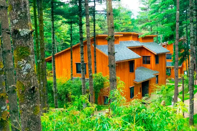 洛阳白云山的森林度假木屋