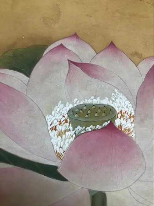 零基础工笔画教程|宋画小品经典|出水芙蓉图(最终篇)