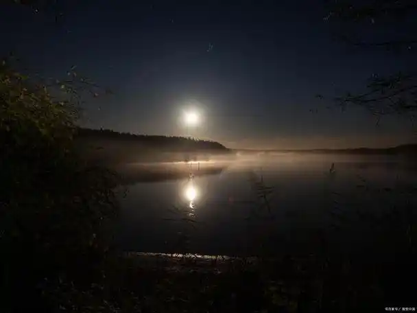让你深夜破防的句子,句句走心