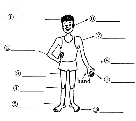 tall的反义词tall的反义词或对应词
