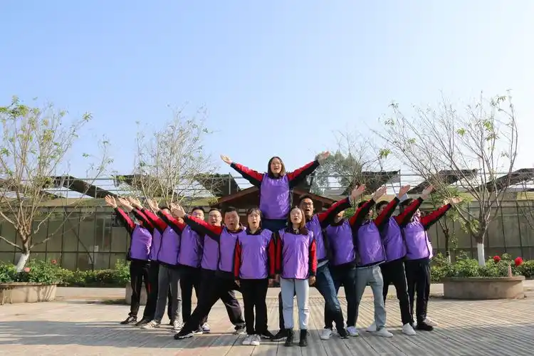 腾飞队队形展示