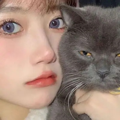抱猫的女生头像唯美可爱高清不露脸