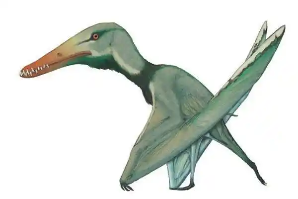 有着鸟类大爪子的恐龙 鸟掌翼龙(翅膀竟是用来散热的) - 灵异故事