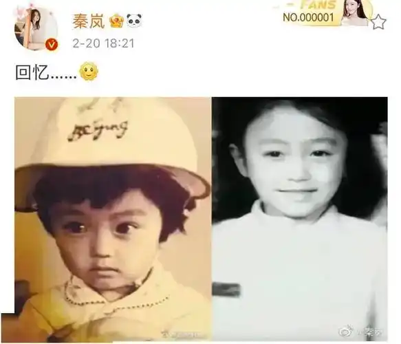 秦岚的瓜爆了,这也太炸了!整个娱乐圈都比不上……_感情_陆川_黄晓明