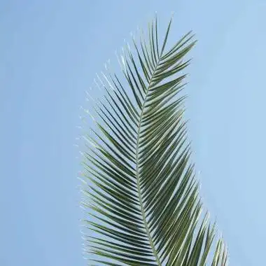 头像干净高级质感风景 风景头像图片大全 -【爱个性】