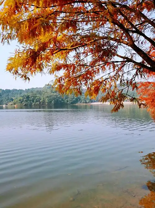 实拍,德阳东湖公园风景