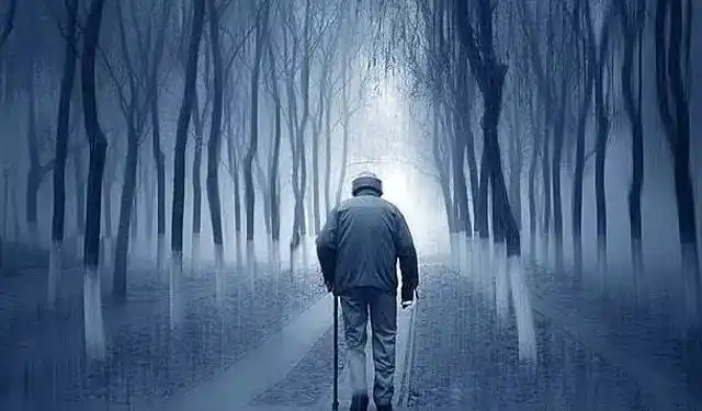 教育 正文 年轻的时候 不去珍惜,体谅和理解 待到年老时 后悔已经来不