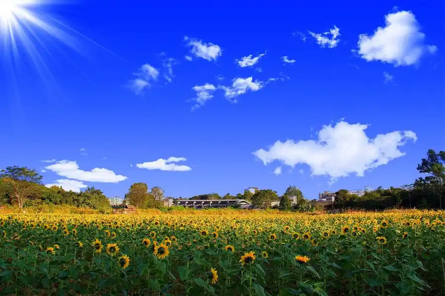 别把最好的留到最后
