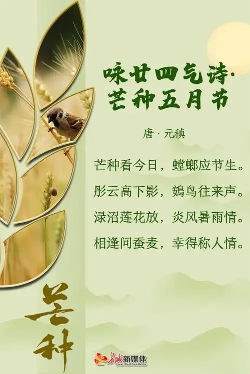 芒种诗节 | 风吹麦成浪 蝉鸣夏始忙
