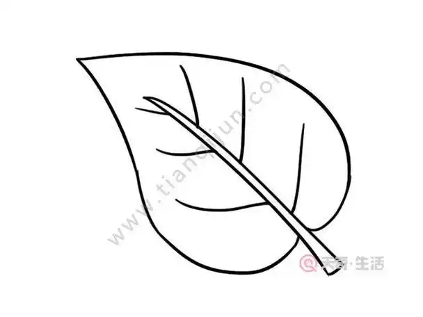 树叶形状的书签简笔画