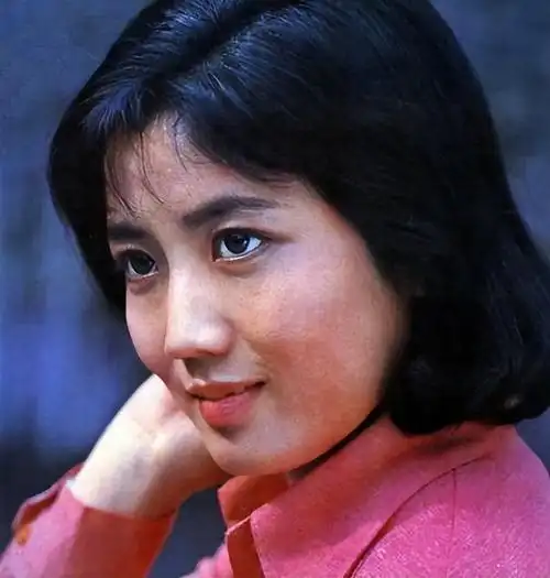 "牧羊女"丁岚:因《少林寺》走红,巅峰时远走他国,她后悔吗?