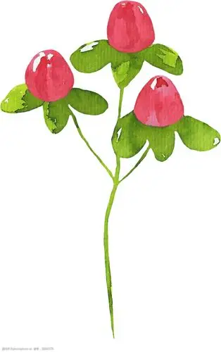 创意水彩植物卡通透明素材图片-图行天下图库