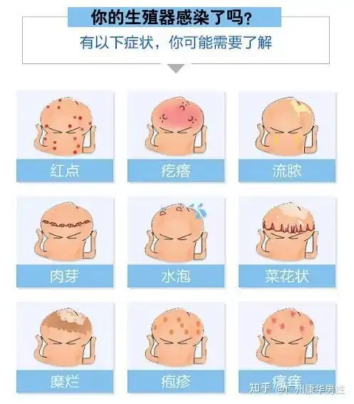 男性龟头褶皱红斑怎么回事番禺康华科普