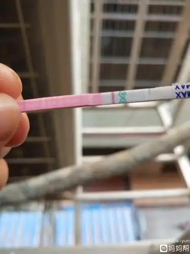 但检测线显色弱于对照线,表示可能怀孕,请隔天用晨尿重测 3阳性对照线