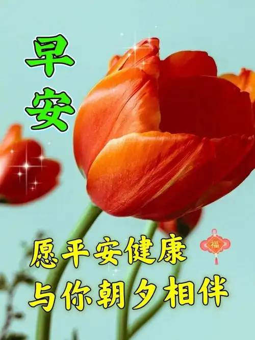 清晨发老同学温馨美好的早上好问候语最新版早安问候语图片