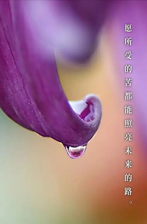 机会总是眷顾有准备的人,只要对生活充满希望