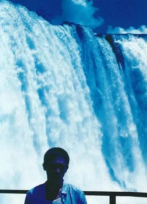 创意摄影 | 春光乍泄