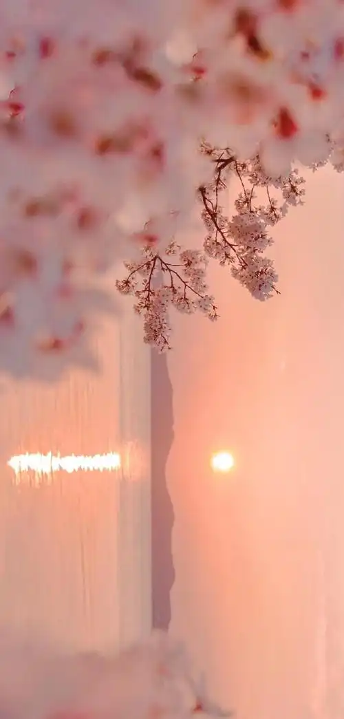 粉色系ins少女心壁纸爱意藏不住眼里总有光