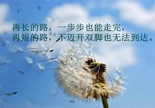 励志人生植物文字图片_努力吧向前走