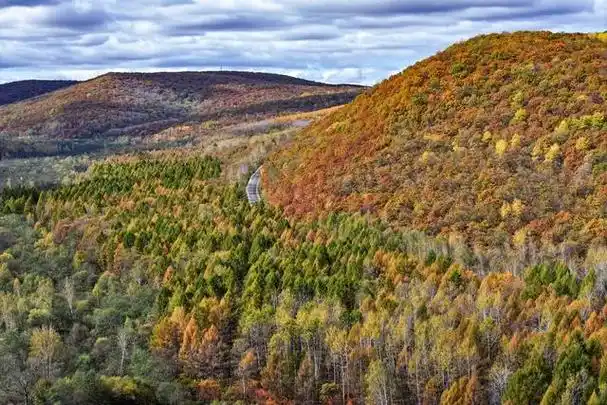 东北林区,一个充满神秘色彩和自然美景的地方,让人流连忘返