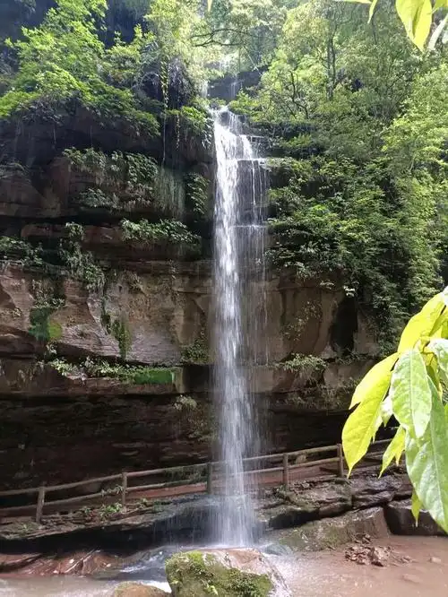 碧峰峡,国家5a级旅游景区,位于四川省雅安市雨城区碧峰峡镇.