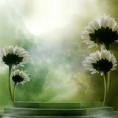 诗情画意的头像,特别好看的风景头像图片