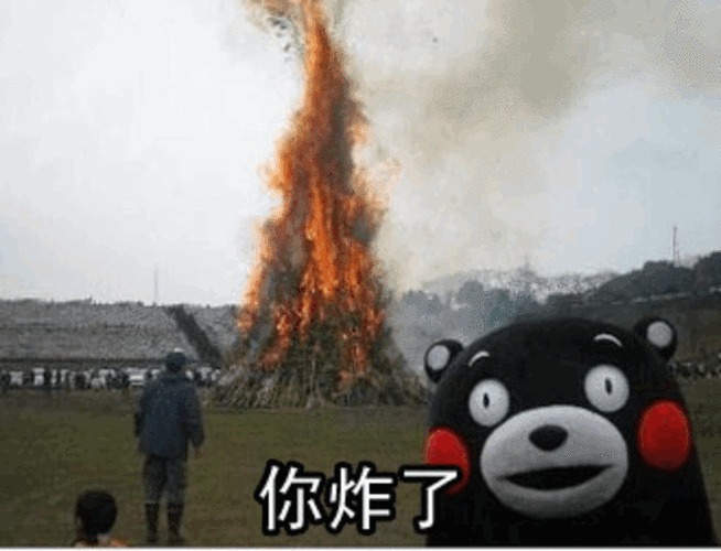 熊本熊你炸了gif动图_动态图_表情包下载_soogif