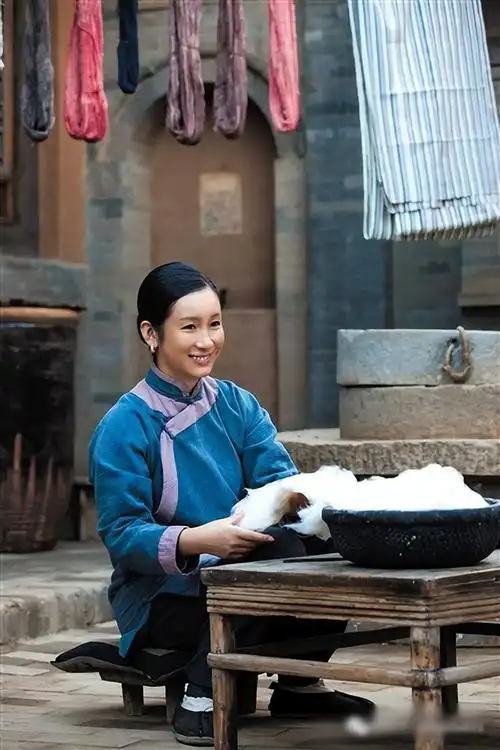 回顾秦海璐被相恋4年的李厚霖抛弃36岁嫁二婚王新军苦尽甘来