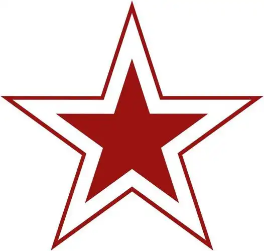 谁有俄罗斯飞机上的五星标志阿,要大图的