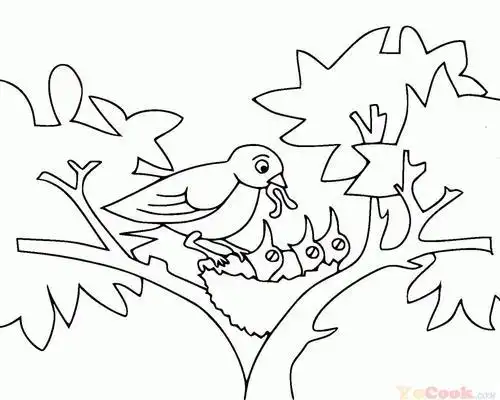 鸟巢简笔画大树