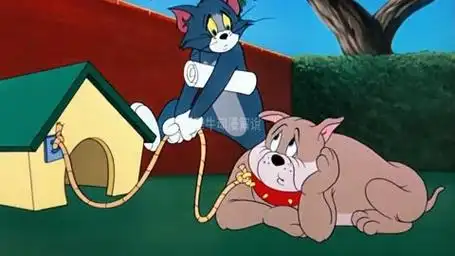 当铃铛响起的时候,汤老猫的噩梦降临了#动画 #猫和老鼠