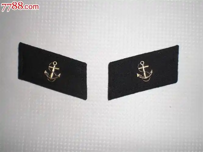 55海军*种领章