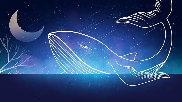 星空下的海面上的鲸鱼图片