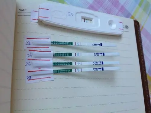 求助 姐妹们谁有大卫早早孕试纸颜色变化的图啊,怎么还不到强阳啊