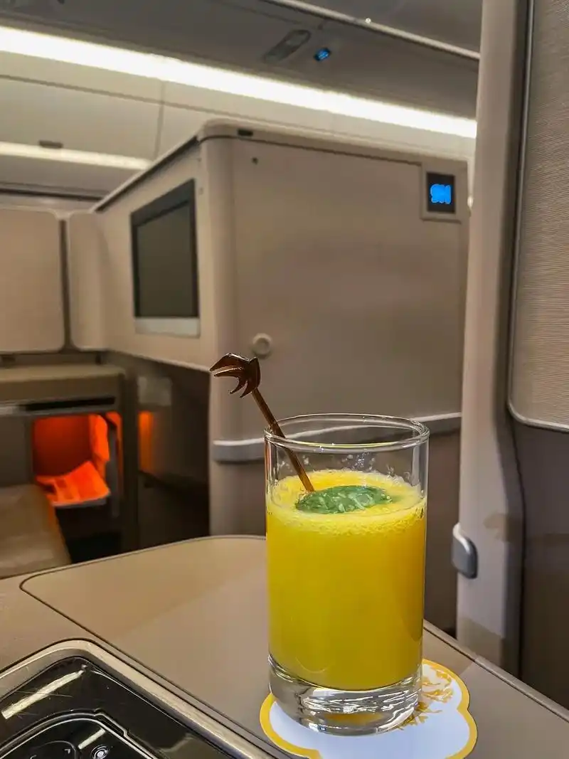 国内航司商务舱天花板.东航1-2-1布局的包厢式thomps - 抖音