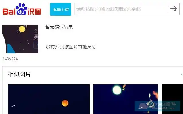 百度识图的搜索结果
