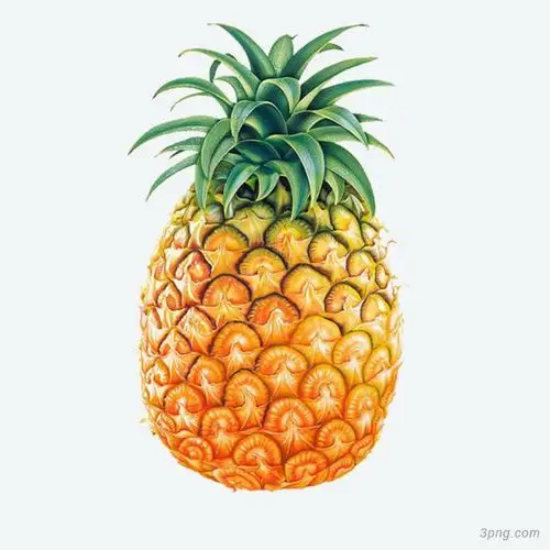 菠萝png素材透明免抠图片-装饰效果