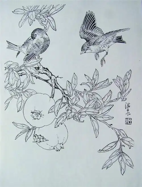 国画家王满良工笔白描花鸟稿10p