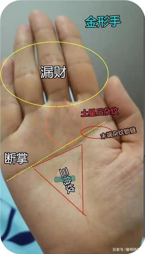 手相案例02,断掌的男人事业运怎么样?会有大成就吗?