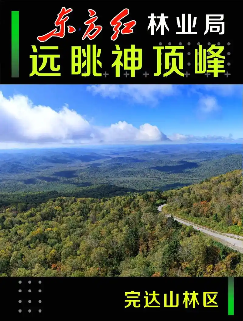 遥望完达山主峰一一神顶峰#故乡 #东北林区 #文化旅游 #生 - 抖音