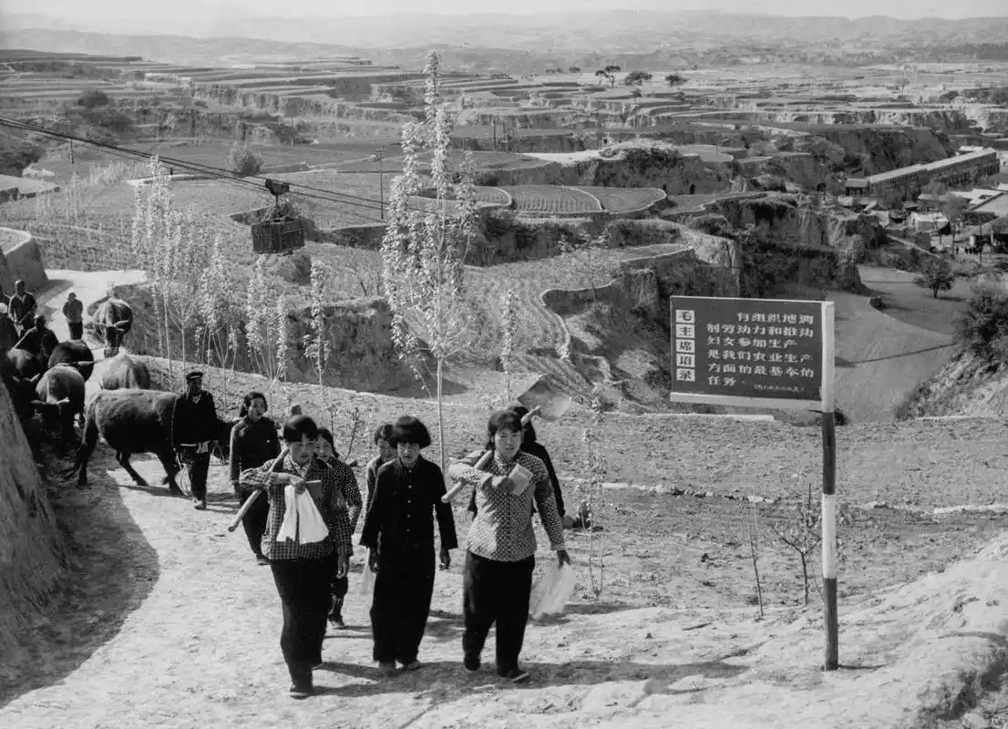 60年代的中国老照片8