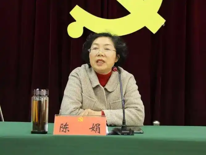 区纪委常委,监委委员,一级主任科员陈娟同志作换届专题工作纪律培训