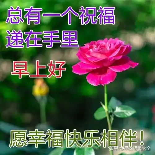 风景早上好图片带字带祝福语好看的朋友圈早安问候祝福语图片带字温馨