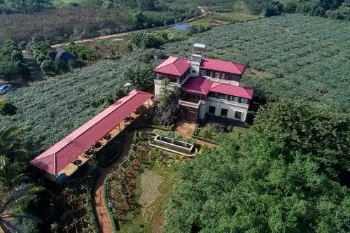 雅新梦幻森林休闲庄园,初始农场主招募