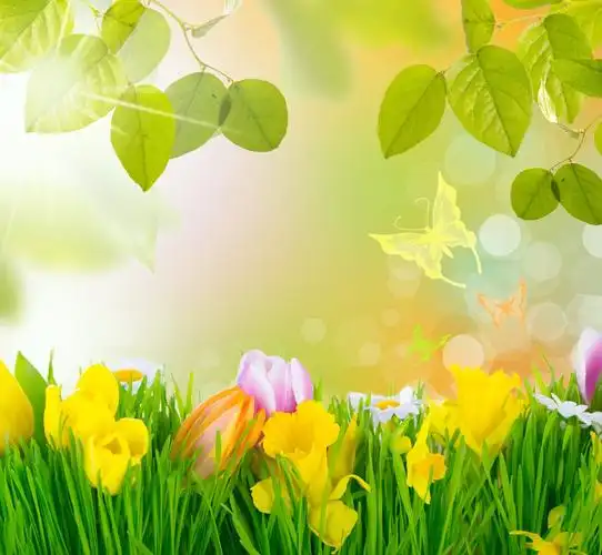 花草蝴蝶绿叶背景图片,高清图片