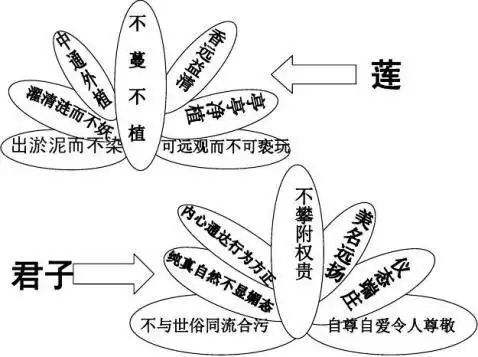四,板书设计:以你对梅,兰,竹,菊四君子的独特认识,试模仿《爱莲说》托