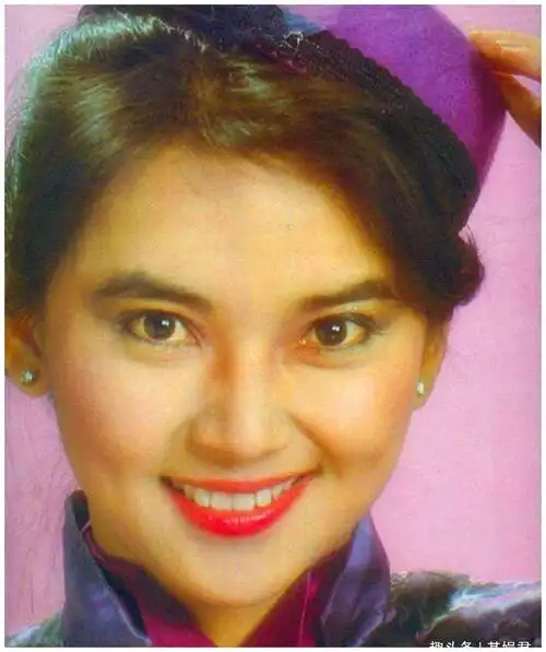 胡慧中70岁丈夫终获释,为救夫她形容憔悴,还曾四处求人却碰壁